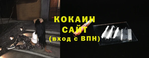 соль ск Алзамай