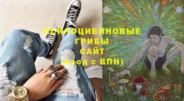 соль ск Алзамай