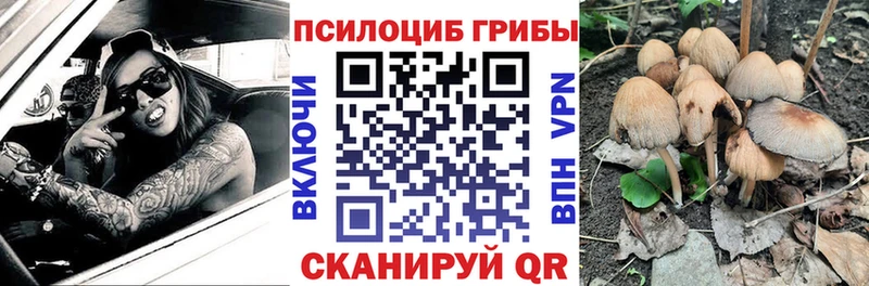 Галлюциногенные грибы Magic Shrooms  Белгород 